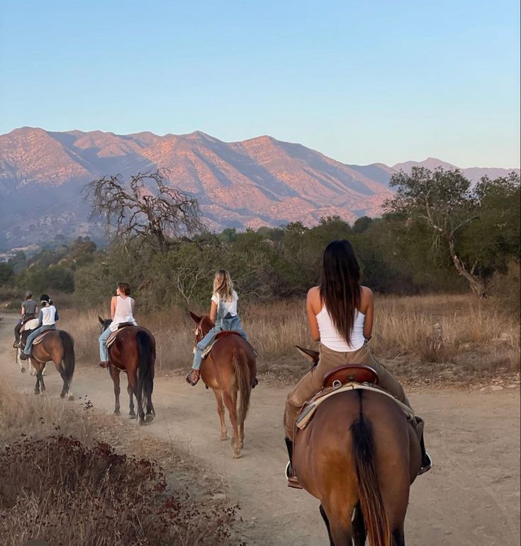 download 2025 12 23t165224.379